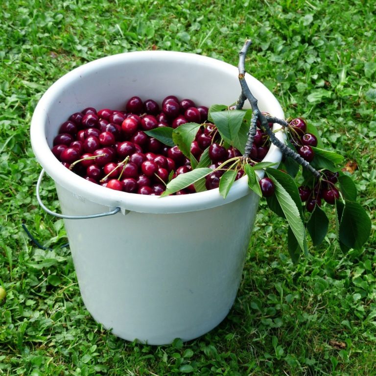 106366059 101366024980753 4675618842002162685 o 768x768