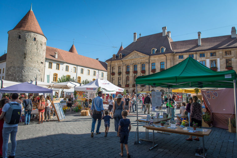 AlternatYv 054 1536x1025 1 768x513