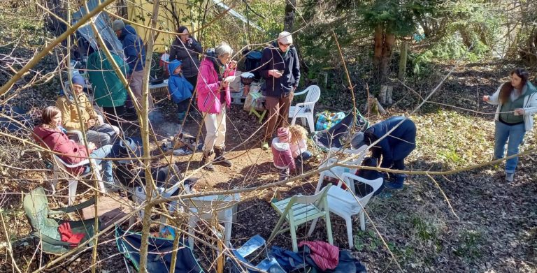 image1 e1646936760206 768x391